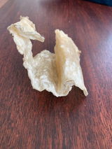 Carin W review photo