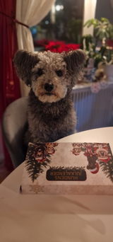 Sofia & Sixten review photo