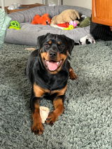 Madde review photo