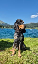 Andrea mit Juna review photo