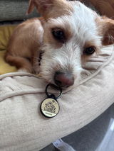 Nina von winnie.and.miley review photo