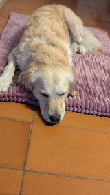 Jasmin review photo