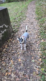 Elke H. review photo