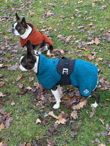 Heidi review photo