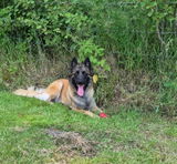 Birgitta H. review photo