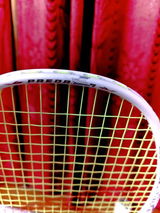 Debanjan Karmakar review photo