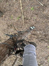 Tyler Voorhees review photo