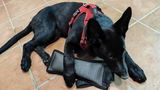 Christelle review photo