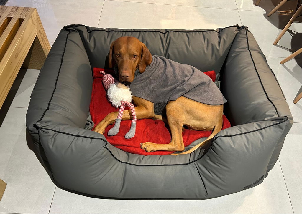 Kalahari King Dog Bed