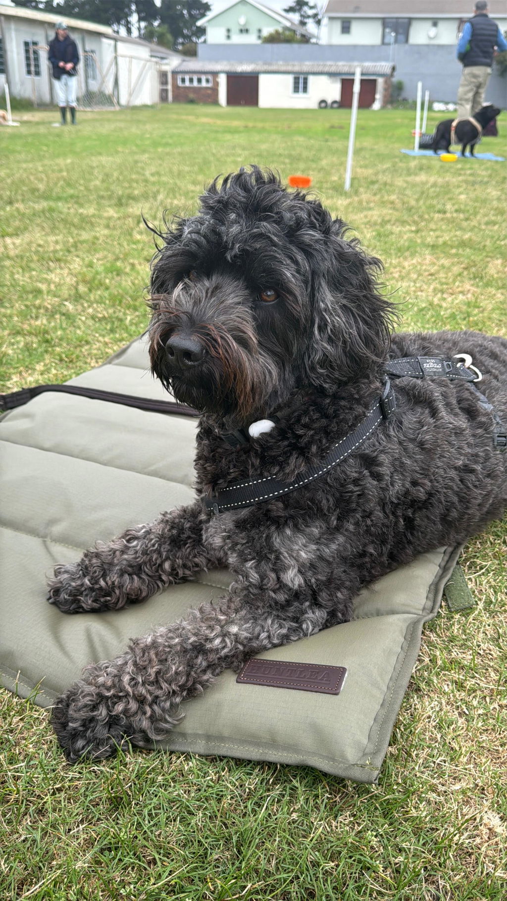 Huntlea Kalahari Travel Dog Mat
