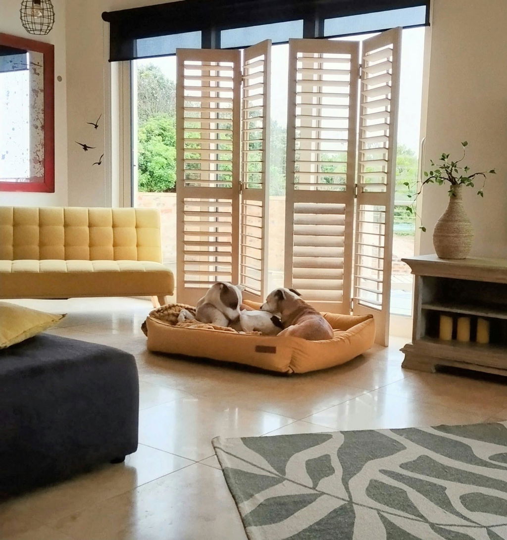 Koletto Bolster Plain Dog Bed