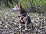 Lilly review photo