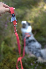 Šarlote review photo
