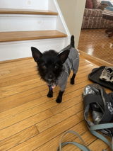 Gabby review photo