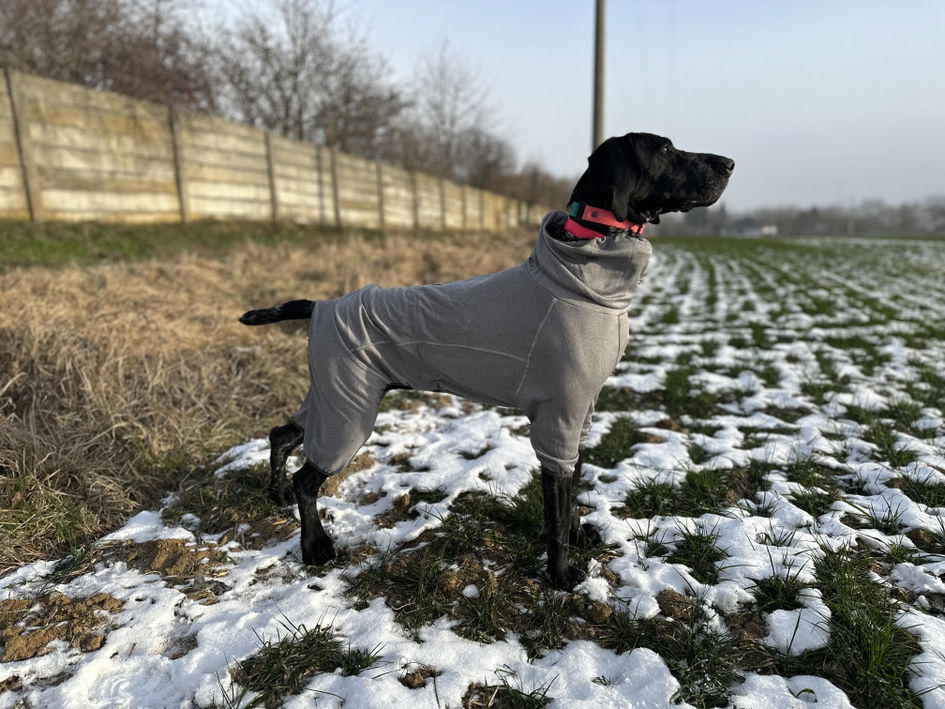 Body Warmer dog overall – Hurtta.com