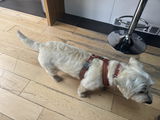 Christopher P. review photo