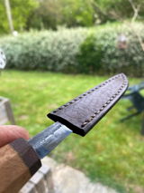 Estella review photo