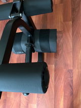 Frank Schurmann review photo