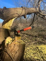 Chris S. review photo