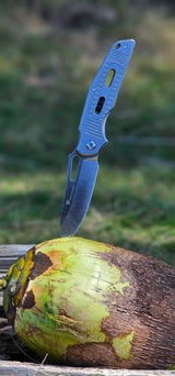 Francisco R. review photo