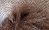 Dominique S. review photo