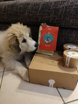 GLORIA review photo