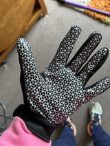 Dan Williams review photo