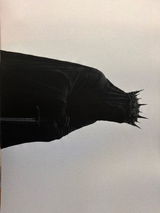 Anonym review photo