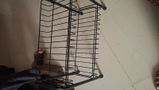 Tajshree review photo
