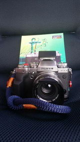 Ewald I. review photo