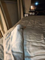Rodrigo L. review photo