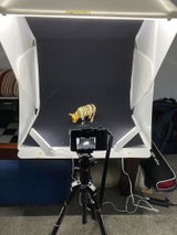 Sean W. review photo
