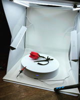 Rose A. review photo