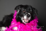 Steve B. review photo