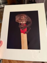 Shan Wilkinson review photo