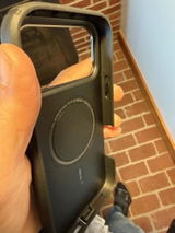 topiparrot review photo