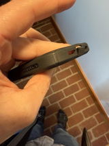 topiparrot review photo