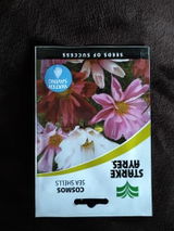 Anel S. review photo