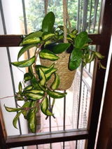 Celda F. review photo
