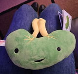 K.H. review photo