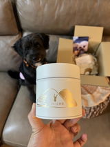 愛美 渡部 review photo