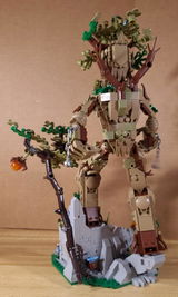 Chris O. review photo