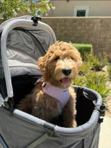 Kaylee review photo