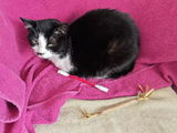 catherine.e review photo