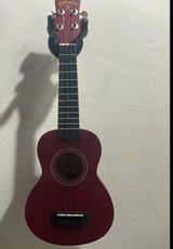 Mathias ayca orrego review photo