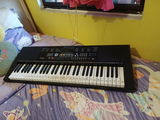 Romina A. review photo