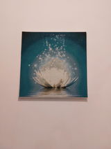 Virginie Abassi review photo
