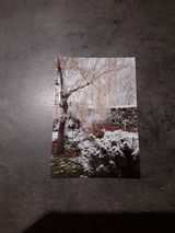 SOLANGE BAILLOUX review photo
