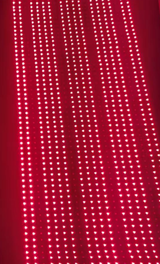 Lauren P. review photo