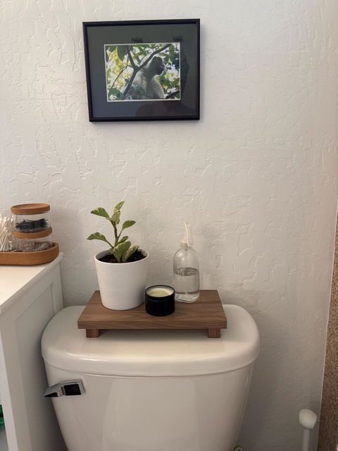 Sink Caddy